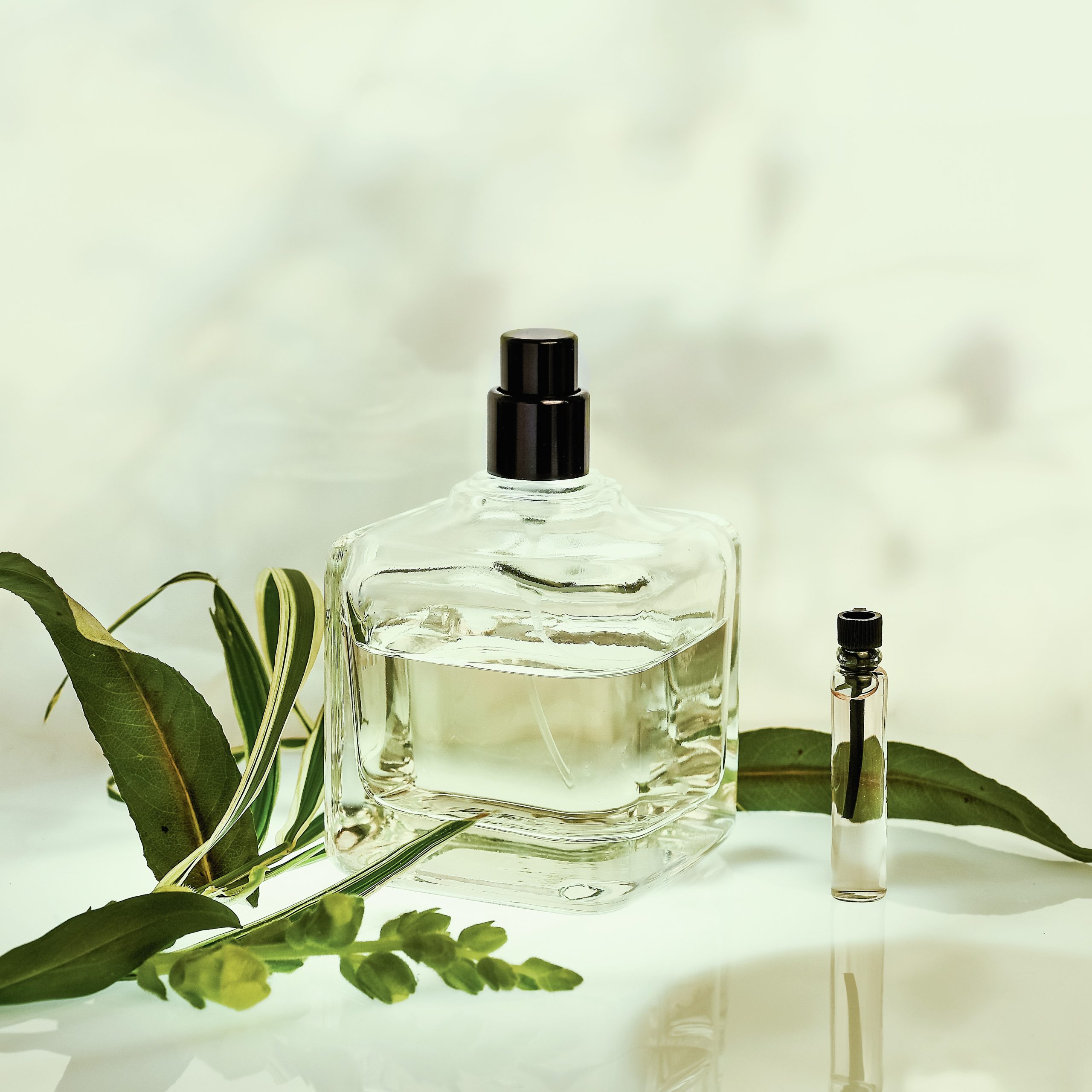 Perfume bottle and sampler on a green natural background. Selective focus. Perfumery collection, cosmetics.